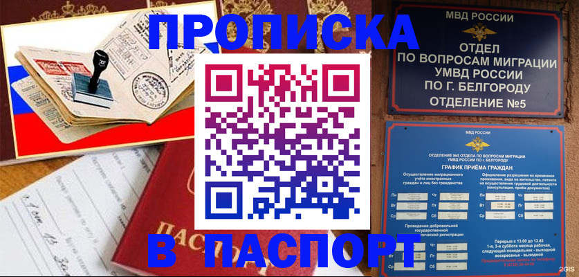 купить прописку в Ногинске